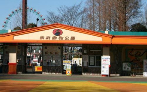 東武動物公園への行き方は 東京駅からの行き方 Pickup トレンドnews Info